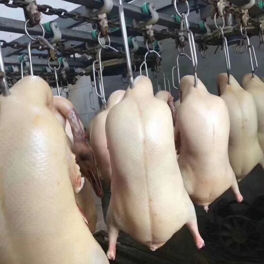 上海鸭肉类 乐寿鸭业，北京正宗烤鸭原料专家