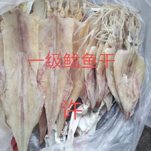 张北县鱿鱼干 12-18个月