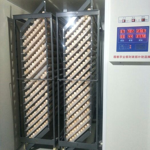 衡阳三黄鸡苗 友成孵化场长期供应三黄土鸡公苗与母苗