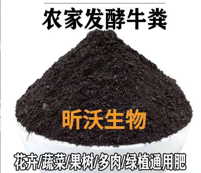  发酵牛粪
