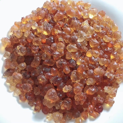 随县 天然珍珠颗粒食用桃胶桃花泪人工自采产地直发