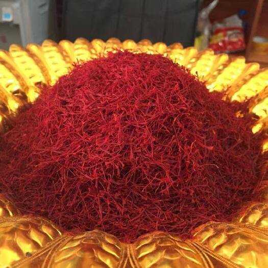 丽江 伊朗藏红花