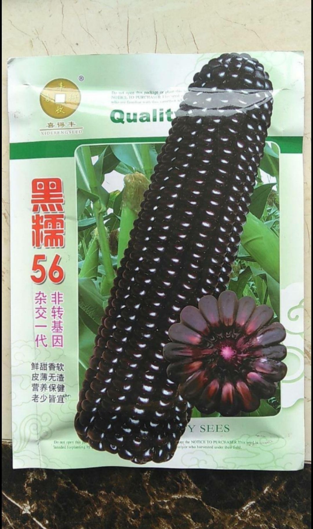 南靖县黑玉米种子