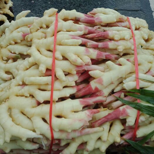 成都高质量仔姜，大量上市，没有中间商赚差价，基地直销