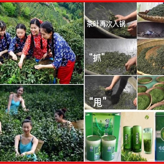罗山县灵山云雾茶(上等毛尖珍品)
