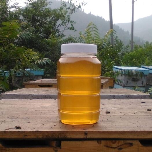 太白县 百花蜜