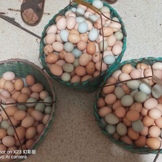 长沙县 土鸡蛋