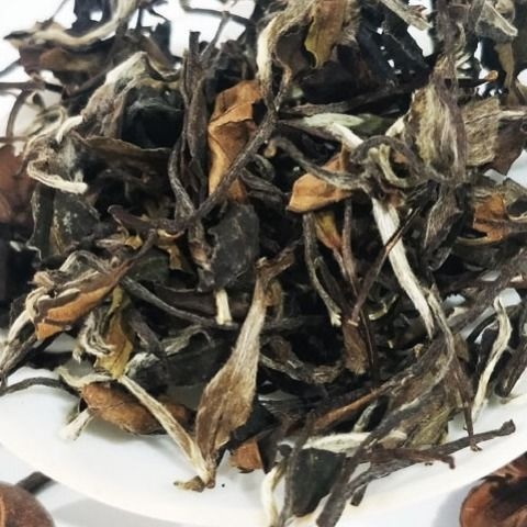 安溪县雅瑞 福鼎大白茶 老白茶 高山日晒老白茶 寿眉贡眉春茶多规