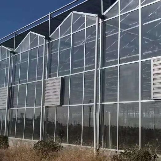 青县薄膜联栋 大棚材料生产厂家