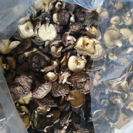 方城县 基地直销，各种规格的段木香菇，保证纯段木香菇