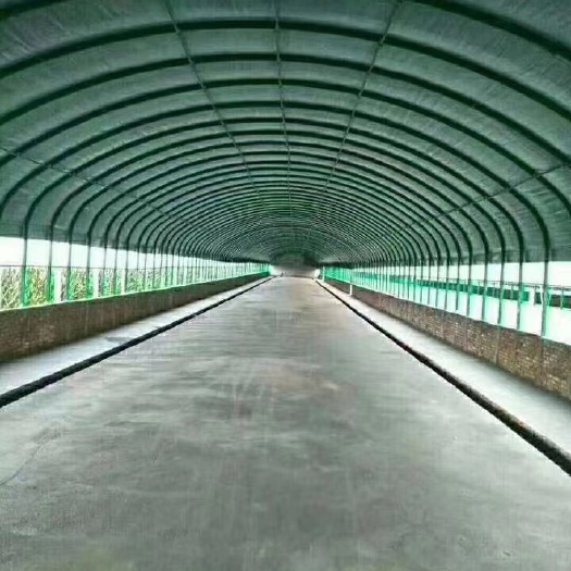 天津 镀锌带种植大棚
