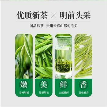 西安野生绿茶 我的茶叶咱们可以谈谈