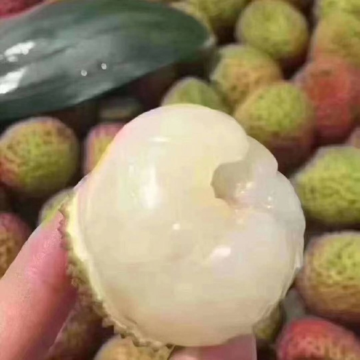 廉江市妃子笑荔枝  供应荔枝