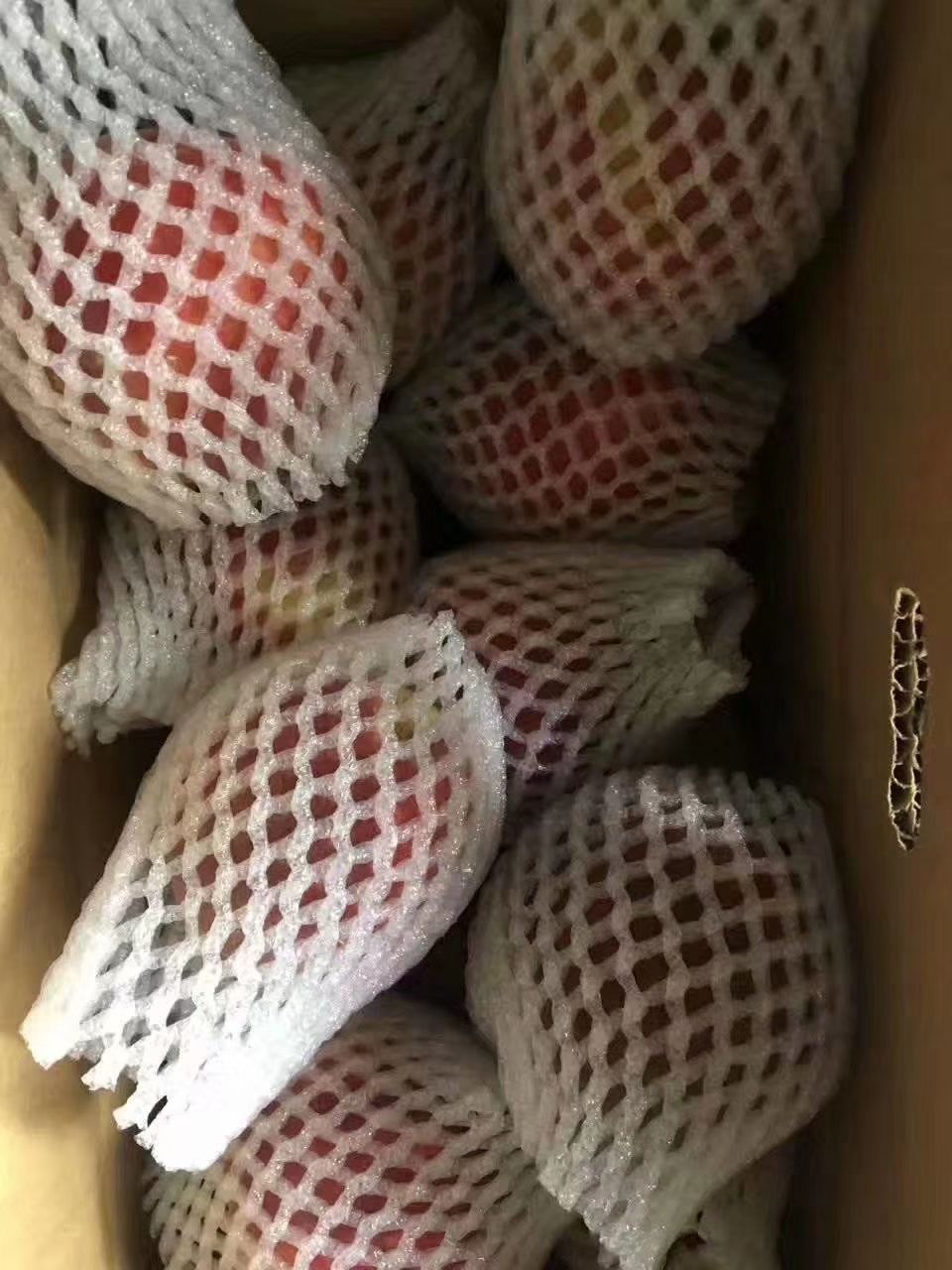  毛桃大量上市了