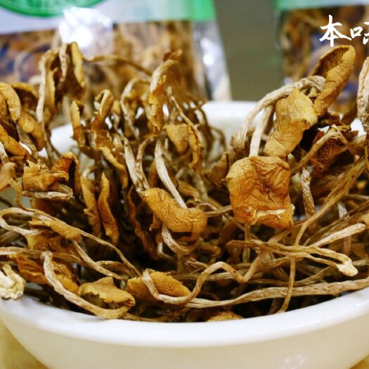 丽江 茶树菇