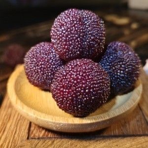 余姚市 余姚杨梅6月上市荸荠种精品杨梅
