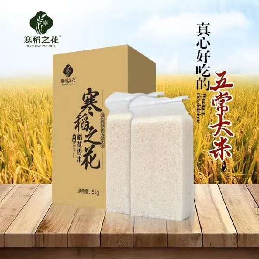 五常市 东北大米五常稻花香二号