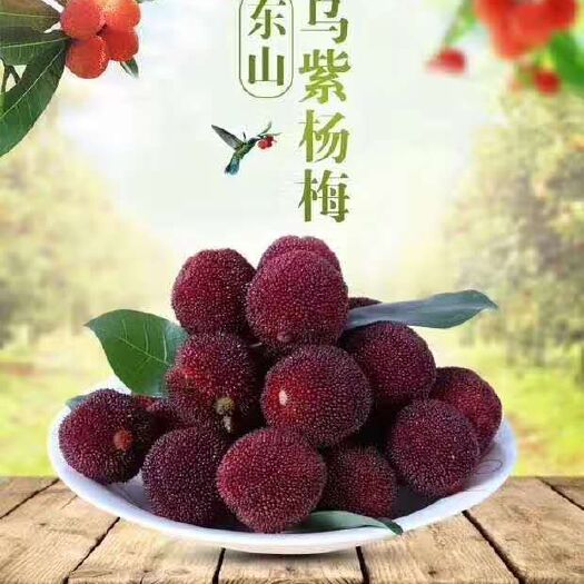 苏州东山乌紫杨梅
