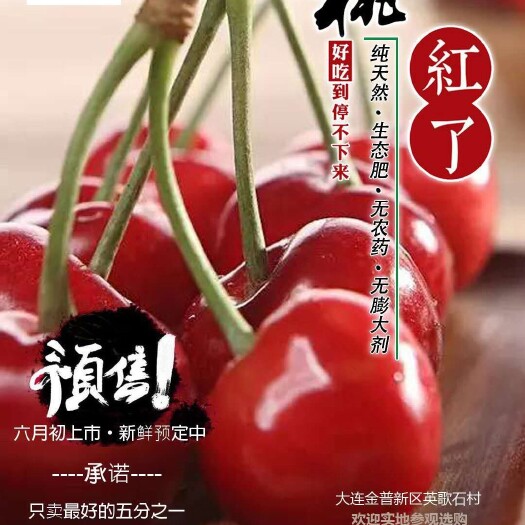 大连 大连农家大樱桃 农家肥 无膨大剂 顺丰包邮