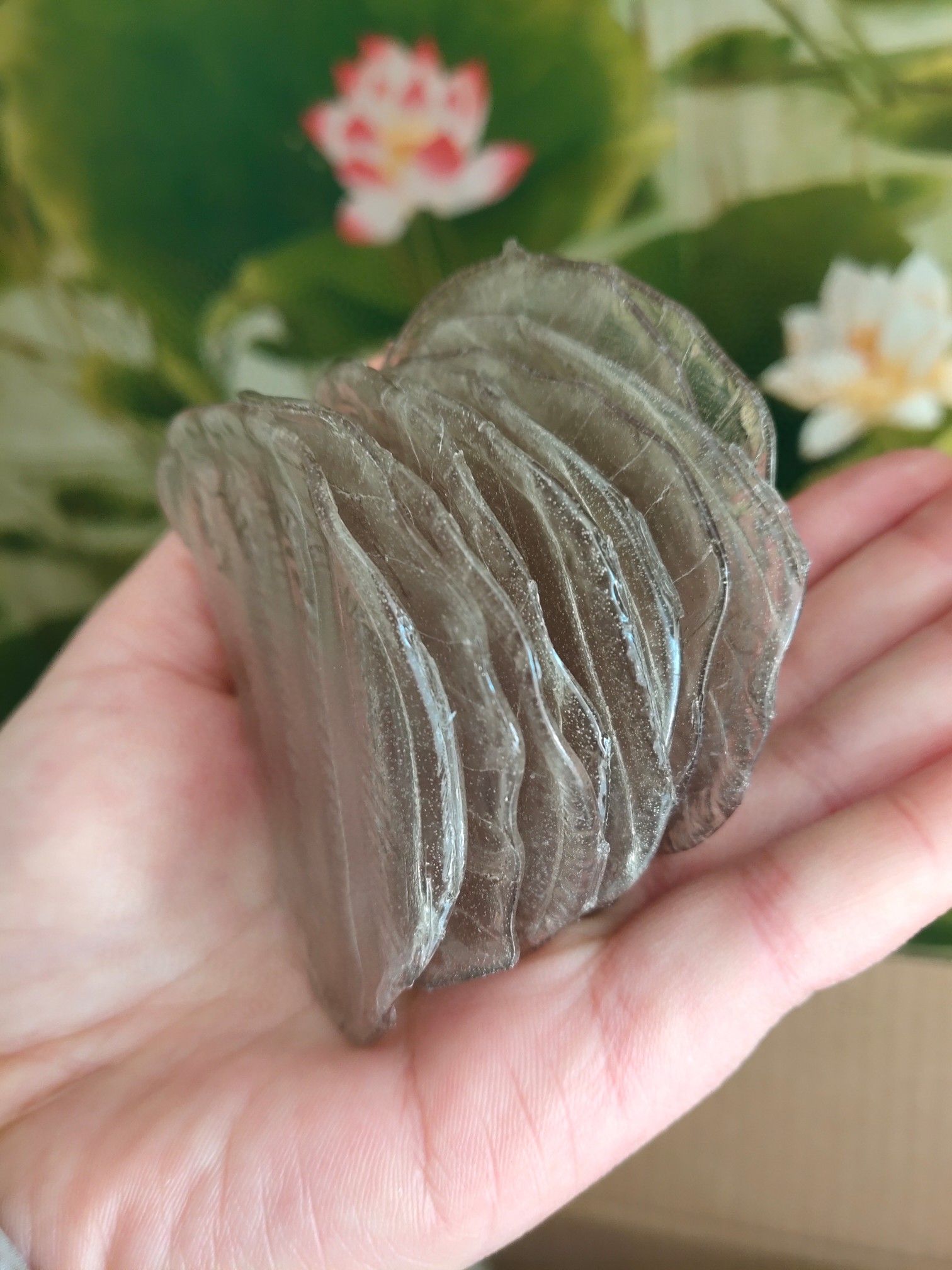 山药/红薯 巴掌小粉皮，传统工艺