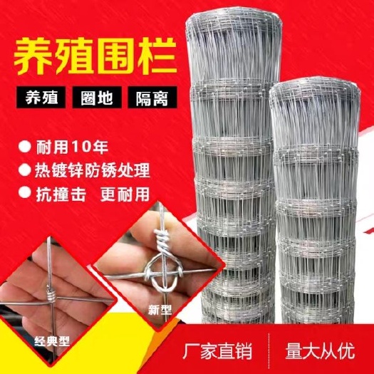 护栏网  果园围栏网热镀锌草原网牛栏网鸡鸭养殖圈地大型篱笆栅