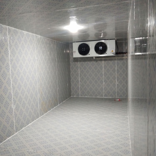 常州冷藏库租赁 冷库设计安装各种规模冷藏 冷冻 速冻 双温库等