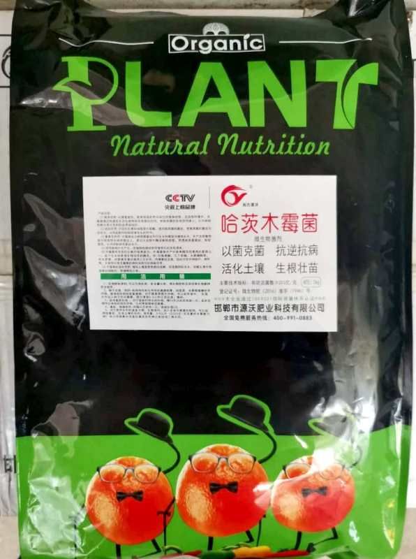 邯郸乌米菌  哈茨木霉菌，
