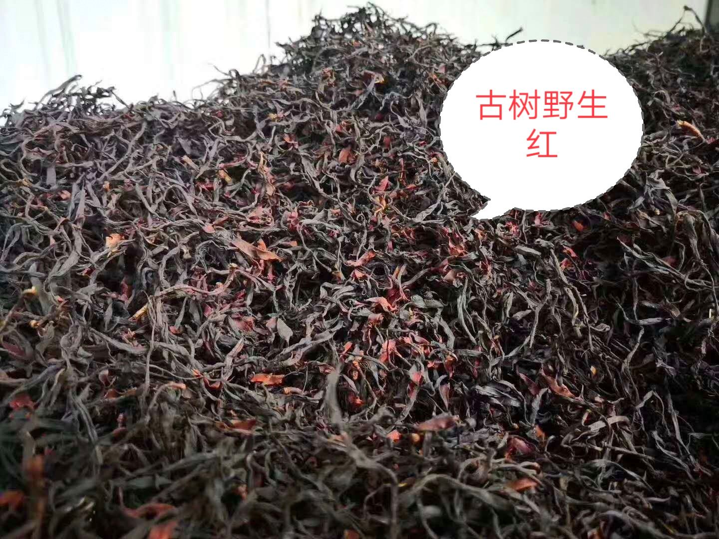 昌宁红茶 千年茶乡昌宁立木神山古树红