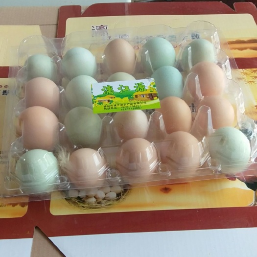 桂林乌鸡蛋 食用 礼盒装