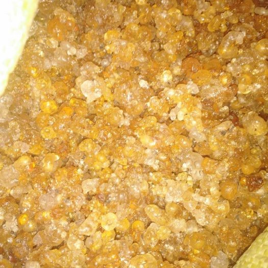 驻马店 常年大量批发零售优质-------桃胶/质量保证,诚信为本