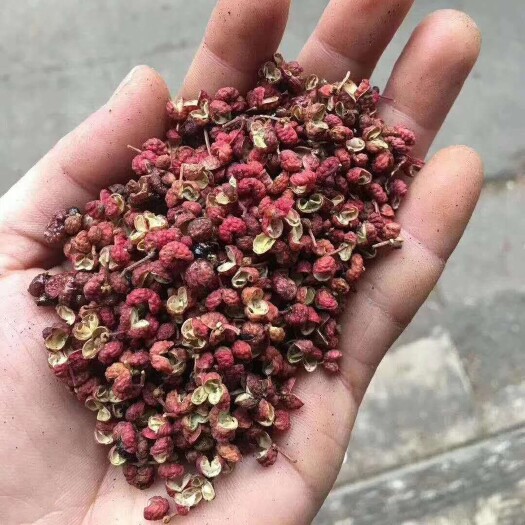 重庆市 茂汶红花椒，大红袍红花椒