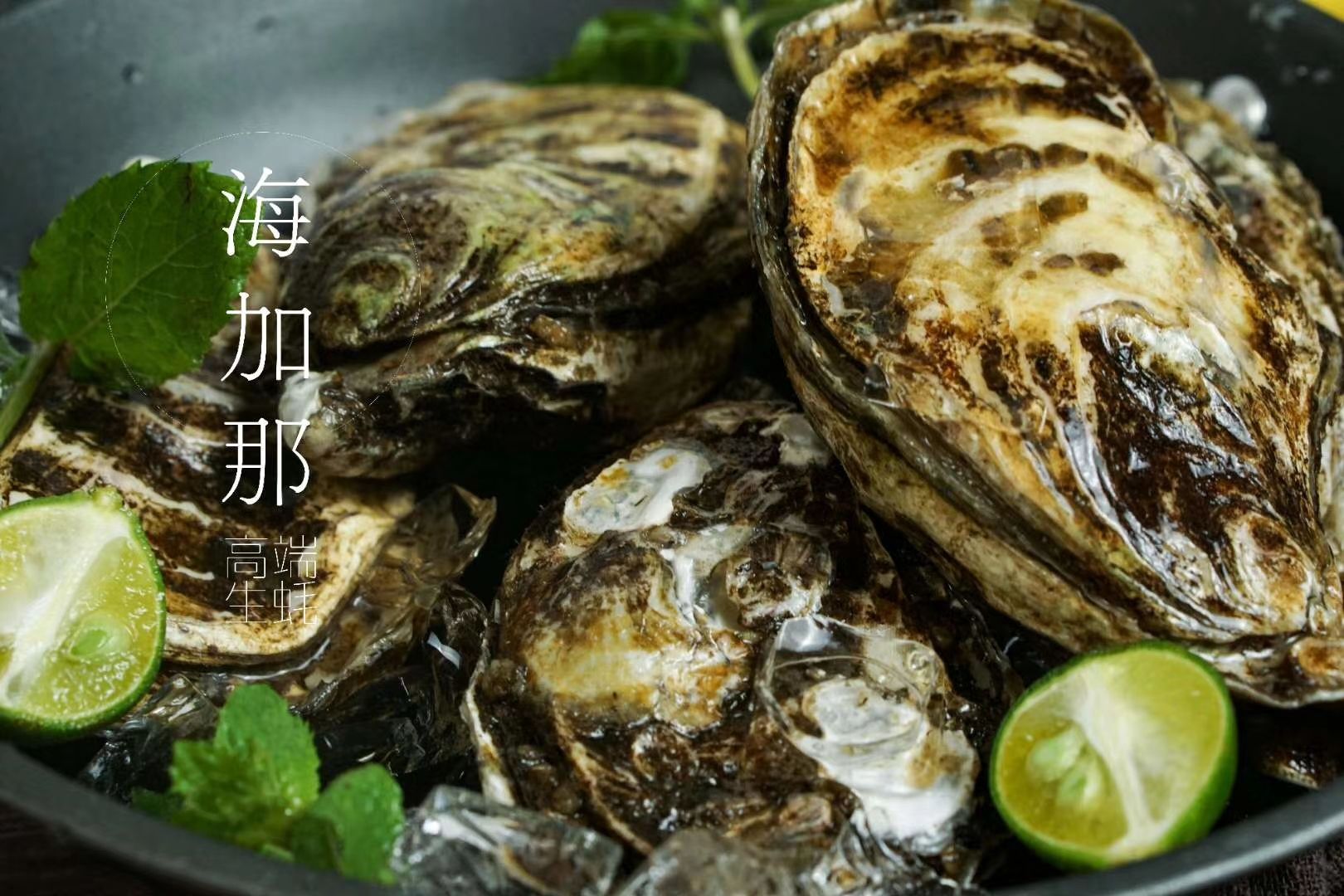 爱尔兰生蚝 Heygana•精品刺身生蚝