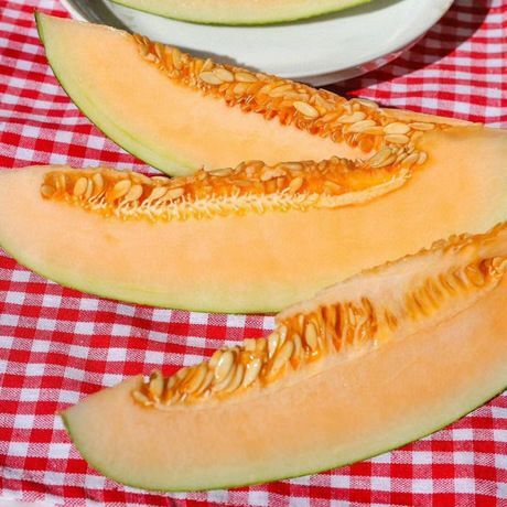 夏邑县 自己种的哈密瓜