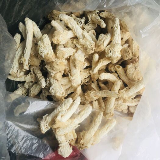 兴仁市 竹荪