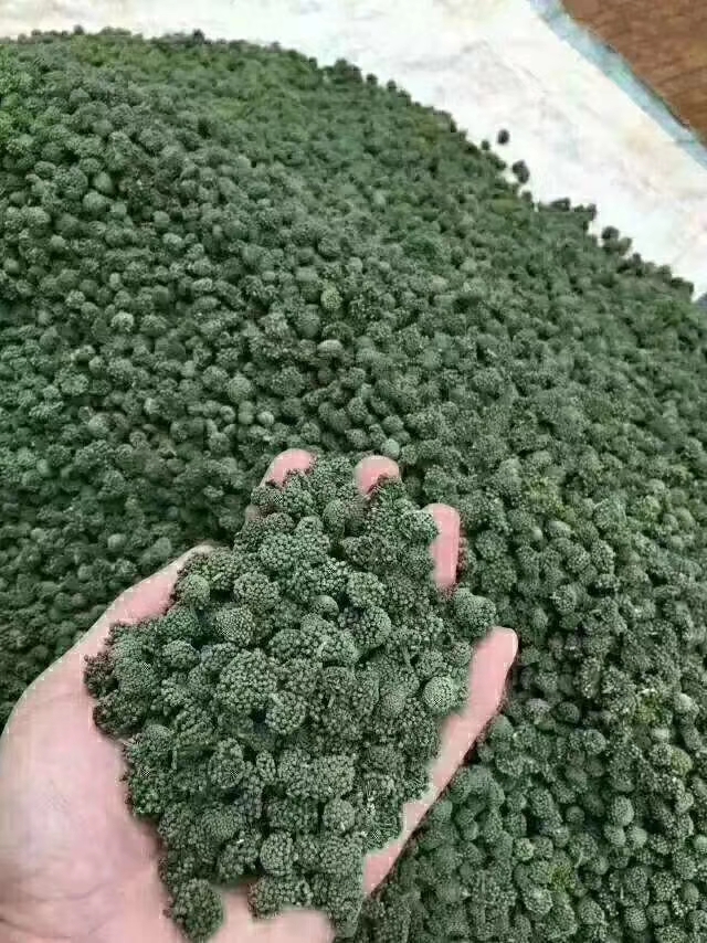  三七花