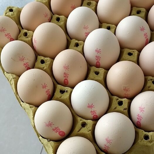 正定县 无任何抗生素，胆固醇含量比普通鸡蛋低三分之一，无蛋腥味。