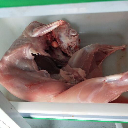 济宁兔肉类 新鲜