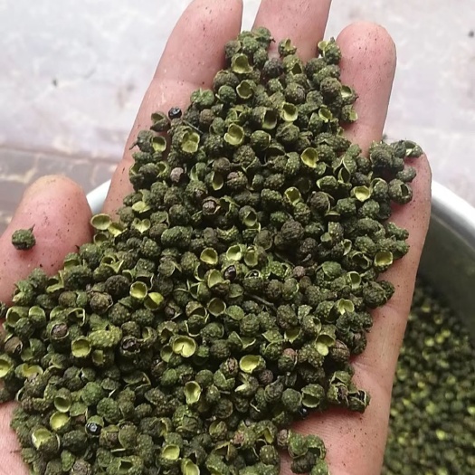 滕州市 青花椒，绿麻椒