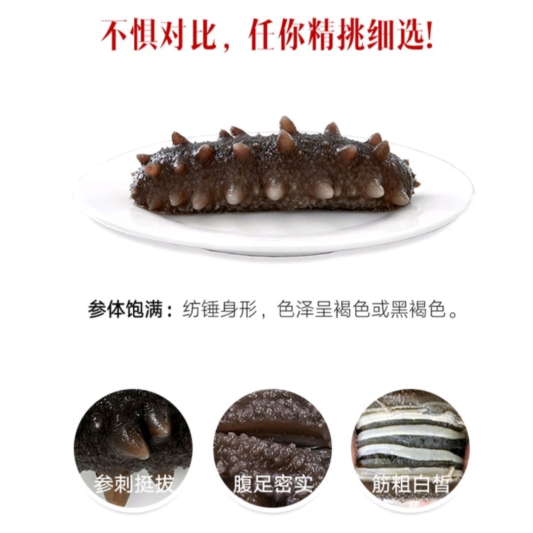  北京同仁堂即食海参 混等(8-12头) 大连工厂直发 散装