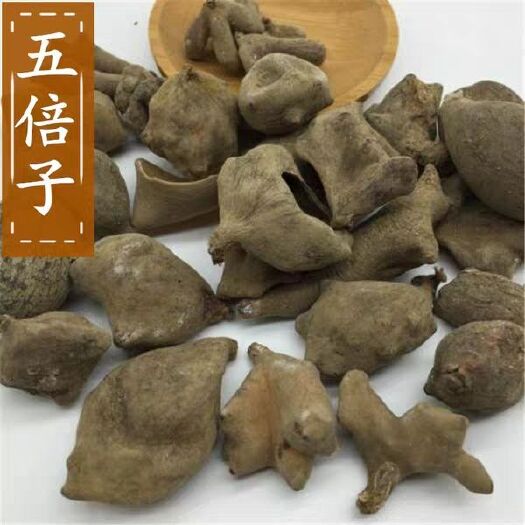 安国市 中药材五倍子 百虫仓 ，正品五倍子，角倍，肚倍