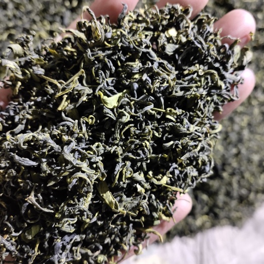 日照日照绿茶 恒温长期保存