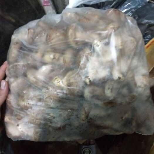 清远 生花菇，品质检测好，大量供应。