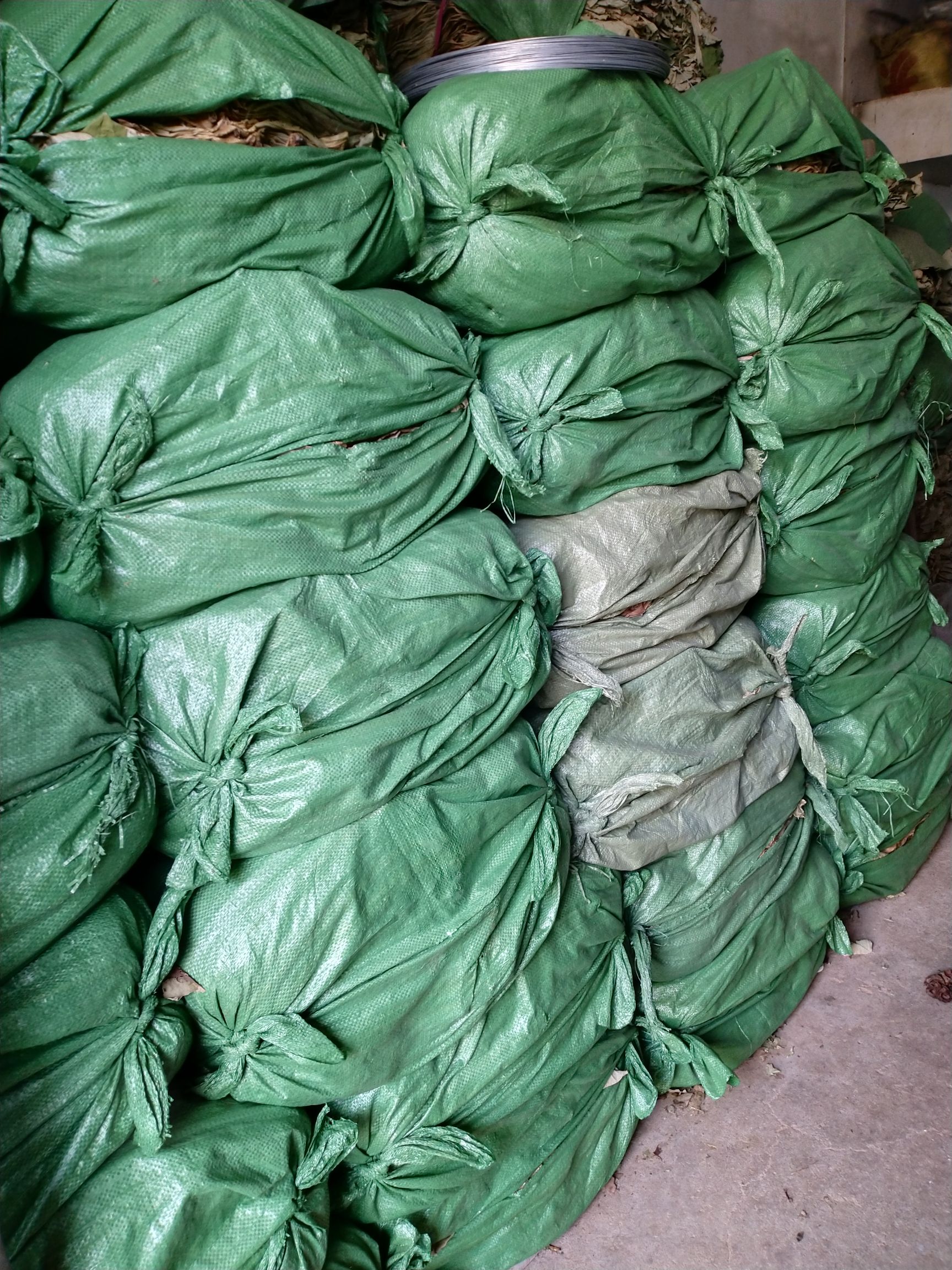 石城县江西高含量荷叶，药材叶，用于药厂，荷叶灰