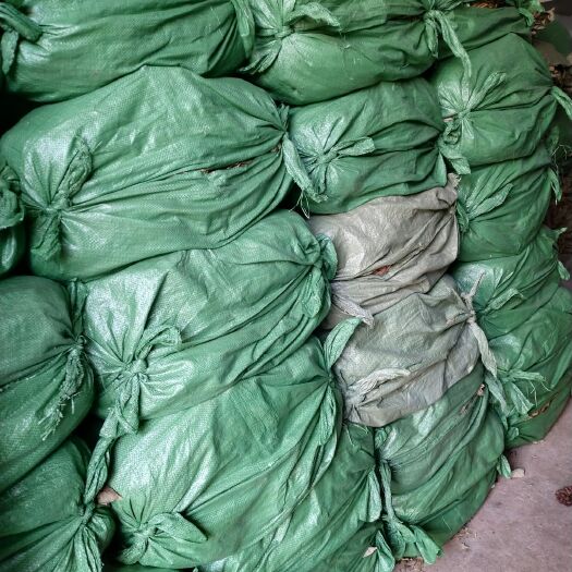 石城县江西高含量荷叶，药材叶，用于药厂，荷叶灰