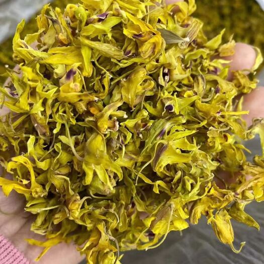 昆明铁皮石斛花