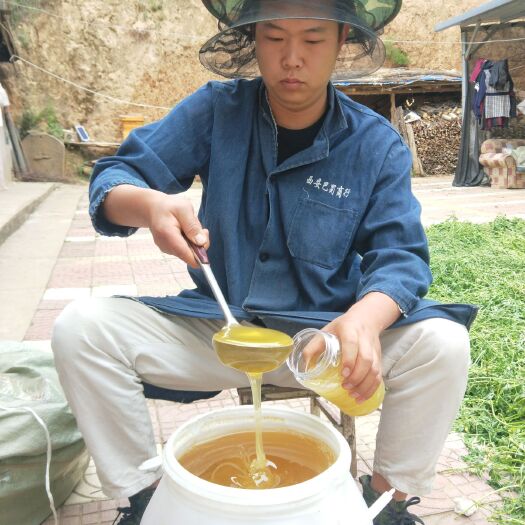 黄龙县 土蜂蜜