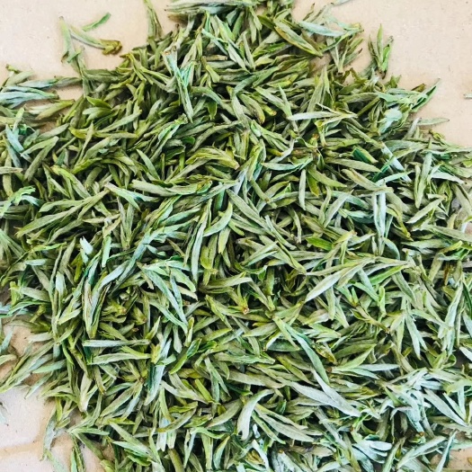 金寨县霍山黄芽 精品黄芽，物美价廉
