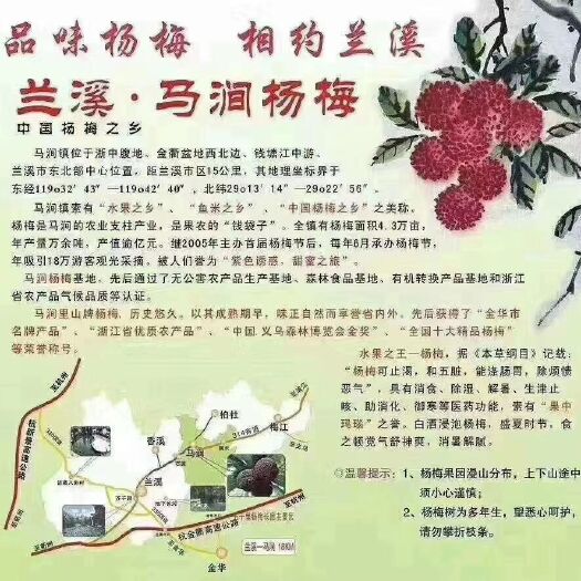 兰溪市荸荠杨梅  浙江兰溪黑炭杨梅