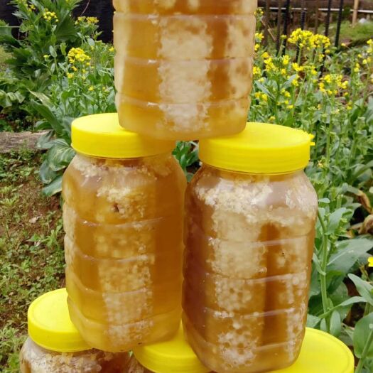 宁德野生蜂蜜 天然桂花蜜，荔枝蜜，龙眼蜜
