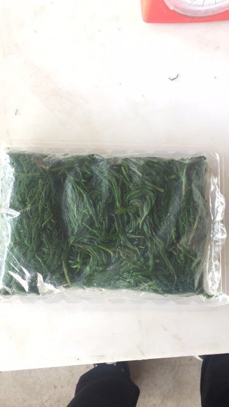 沧县黄须菜速冻黄须菜海英菜盐地碱蓬酒店宴会凉菜做馅用食材